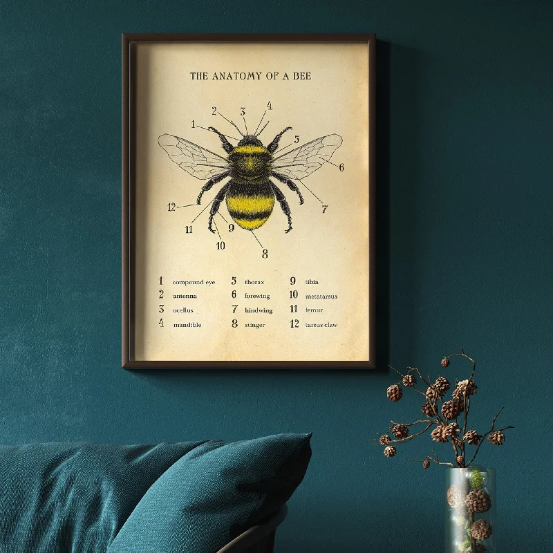 Anatomy Of A Bee Poster