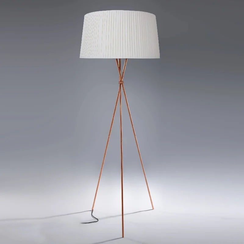 Adjustable Height Floor Lamp for Versatile Lighting NeedsMid Century Floor Lamp Cy-Ltd-100-Rg / 047