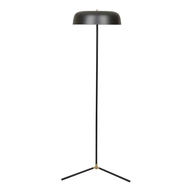 Bohemian Inspired Floor Lamp for Eclectic Home DecorEaston Canopy Floor Lamp - Black Metal